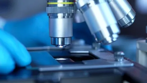 安达亚美 - 气候科学家专访